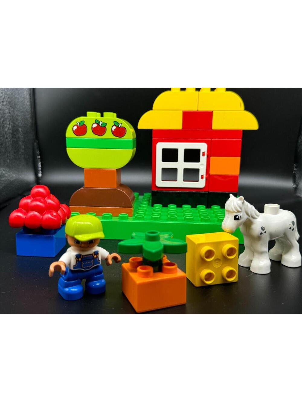 Lego Duplo 10517 My First Garden 2013 - incomplete